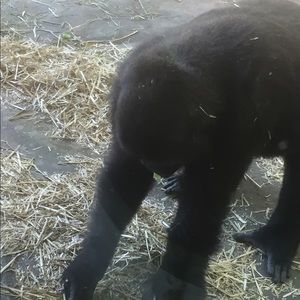 Meet your Posher, Justina